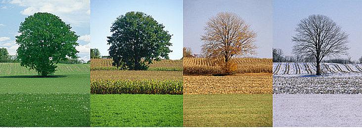 任天堂打算在今年卖出1200万台NS，如何实现？