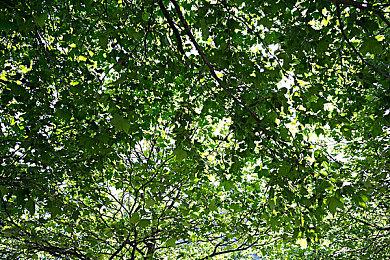 《诡野西部》开发商第二款游戏将是复古科幻FPS