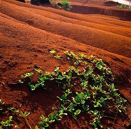 Epic喜加一：《木卫四协议》《巨兽战争：狂暴版》免费领